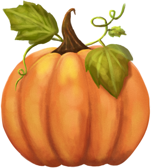 Watercolour Pumpkin Illustration